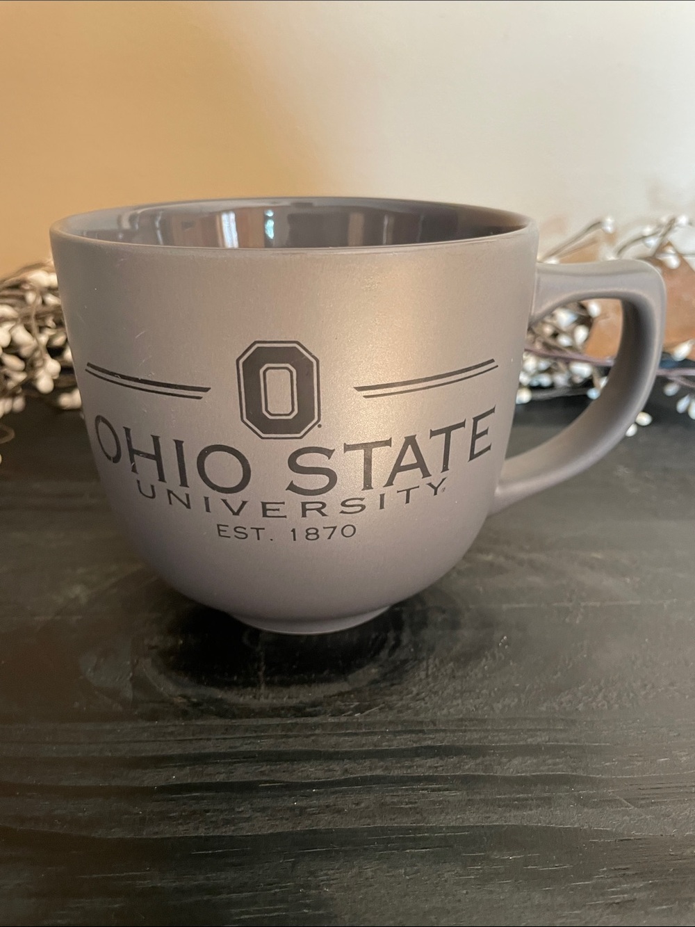 NEW Ohio State University Gray Ceramic Mug with Block “O” Logo - Licensed
